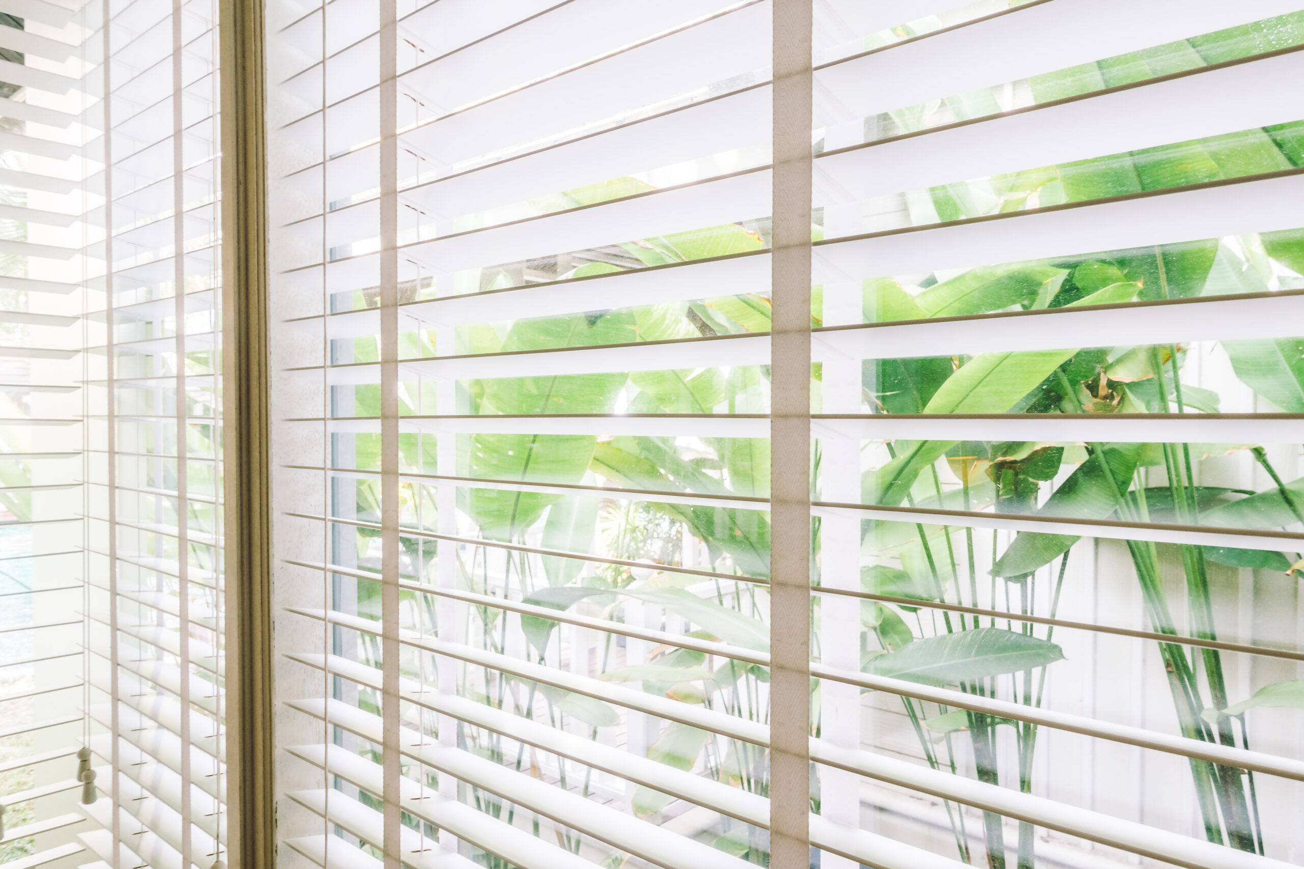 Elegant Curtains & Draperies