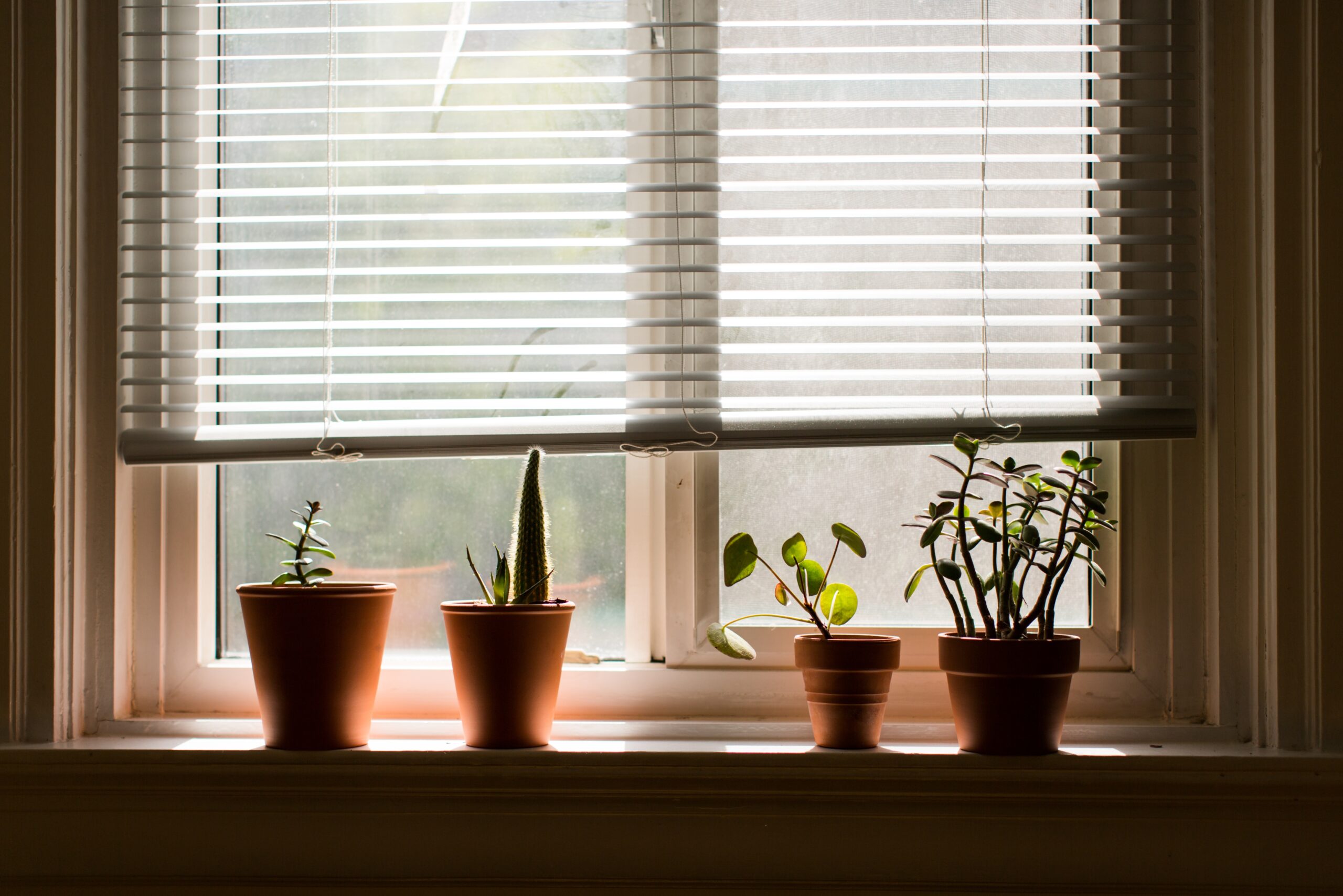 Plantation Shutters for Better Light and Privacy Control